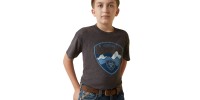 T-shirt Ariat gris logo paysage bleu enfant 