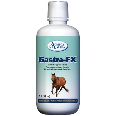 GASTRA-FX Omega Alpha 1 L   