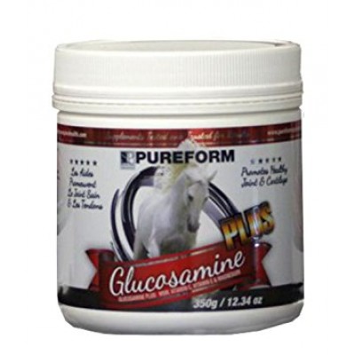 Glucosamine Plus Pureform 350 g 